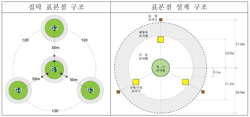 집락 표본점 및 표본점 설계 구조