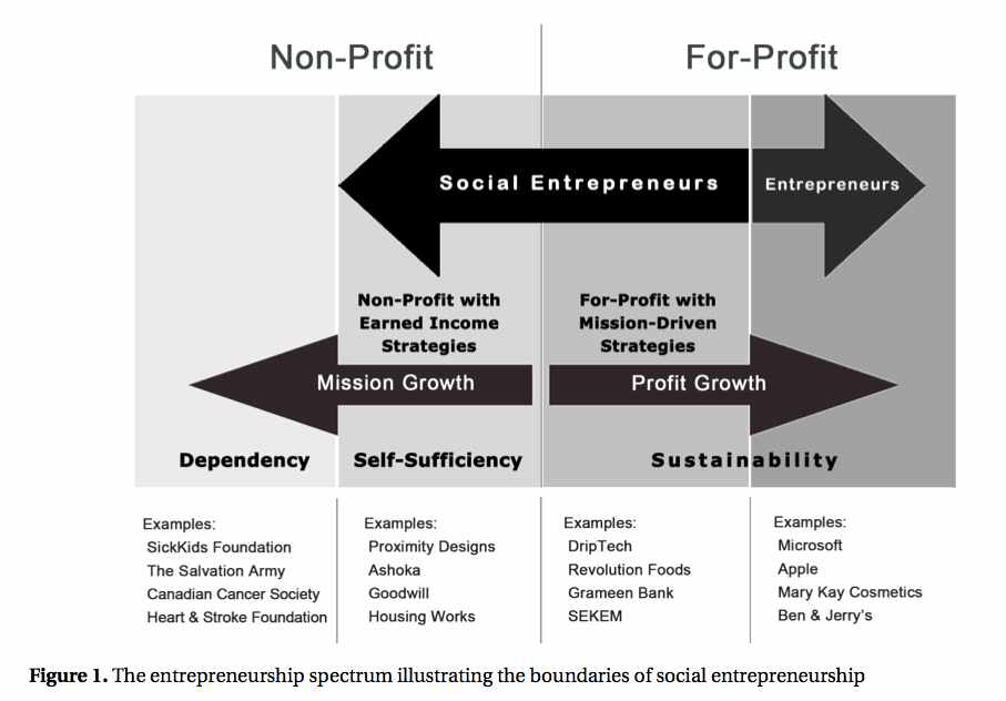 영리형, 비영리형 사회혁신기업가