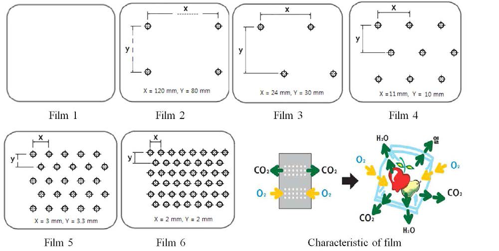 투명 폴리에틸렌 필름 별 구멍의 규격과 필름의 작용기작 개념도