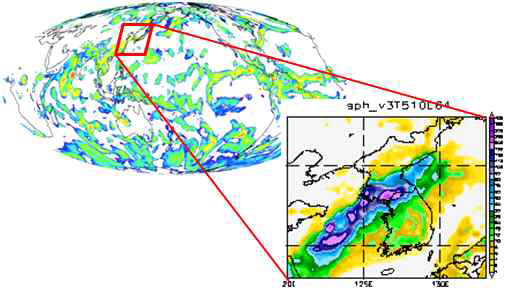 Precipitation Prediction using GRIMs