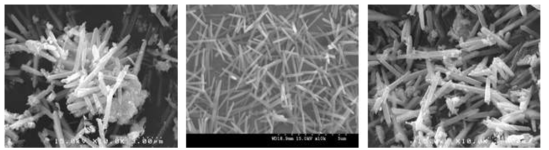 SEM으로 관찰한 nano-needle TiO2 미세구조