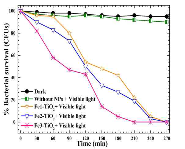 가시광선 하에서 Fe-TiO2 nanoparticle의 Gram-negative(E. coli)에 대한 광분해 반응 그래프