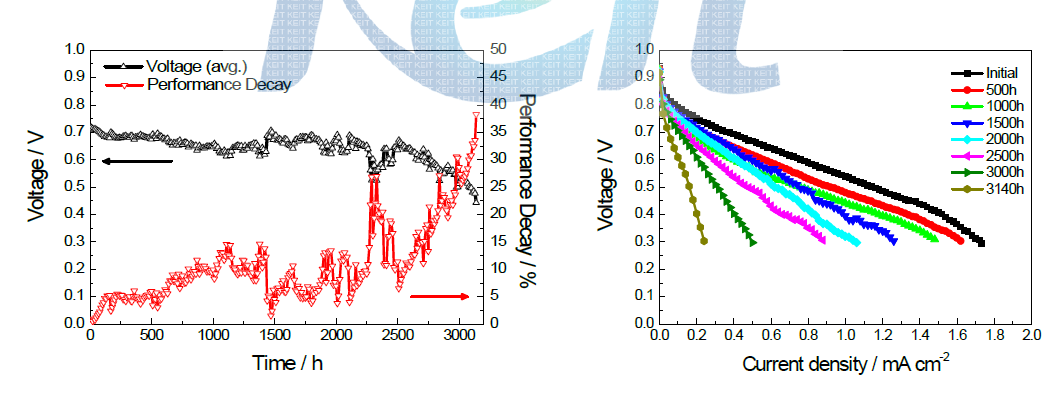 선진사 (J&M) MEA 내구성 운전 결과 및 cycle 별 전류-전압 곡선