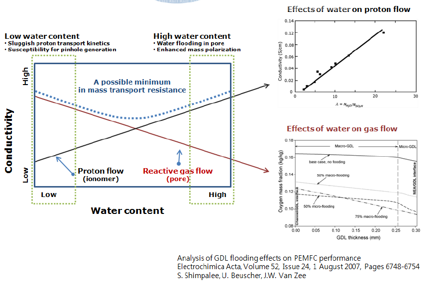 물의 함량에 따른 가스 확산과 수소 이온 확산 거동