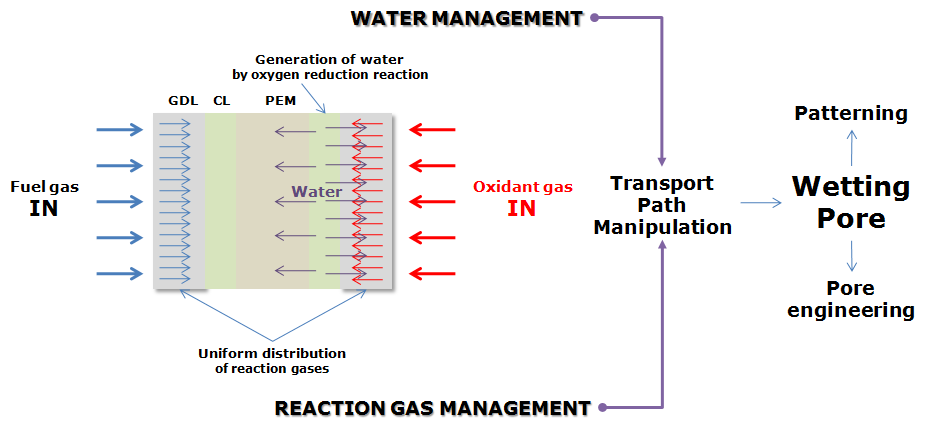 반응가스 및 물의 이동경로 제어의 중요성