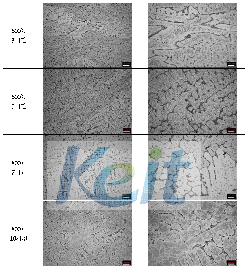 800℃에서 균질화 열처리한 연주 시험편 조직 분석
