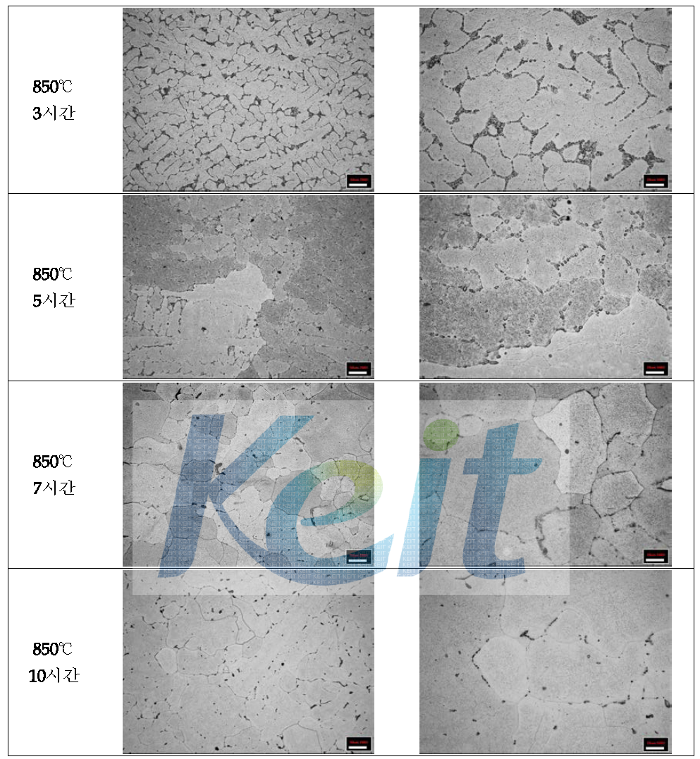 850℃에서 균질화 열처리한 연주 시험편 조직 분석
