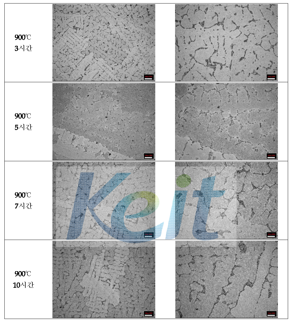 900℃에서 균질화 열처리한 연주 시험편 조직 분석