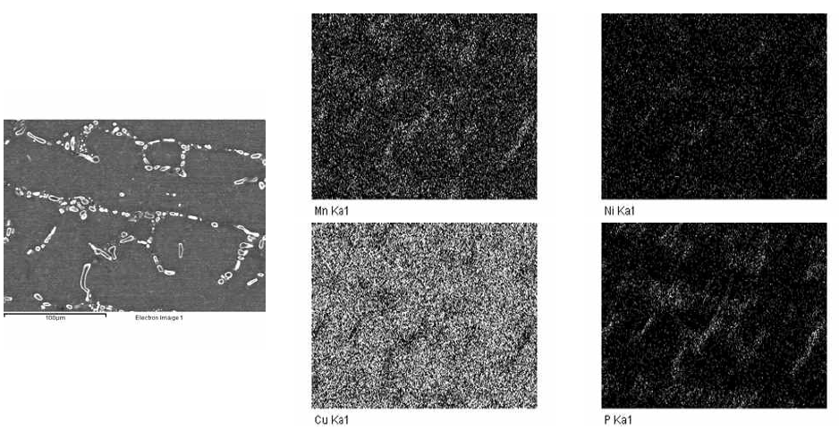 850℃에서 7hr동안 균질화 처리한 망간동 Image analysis