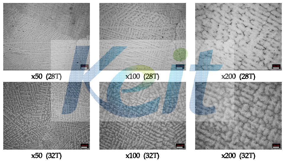 28T, 31T로 냉간압연된 망간동 조직 분석