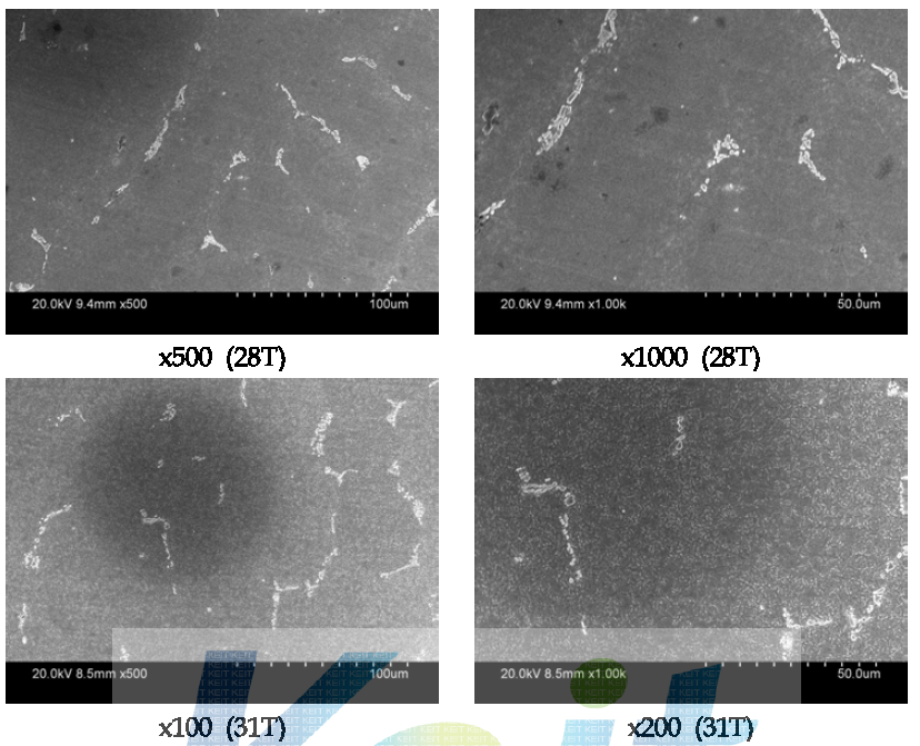 28T, 31T로 냉간압연된 망간동 SEM 분석
