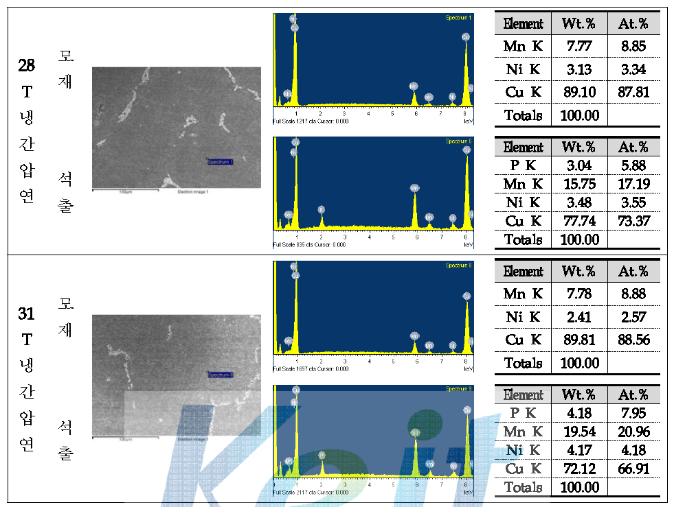 28T, 31T로 냉간압연된 망간동 EDS 분석