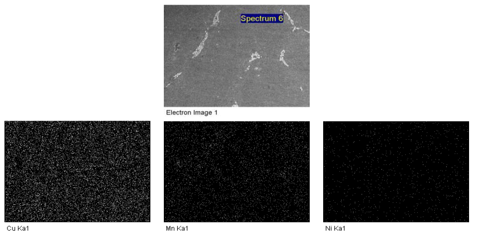 28T로 냉간압연된 망간동 Image analysis