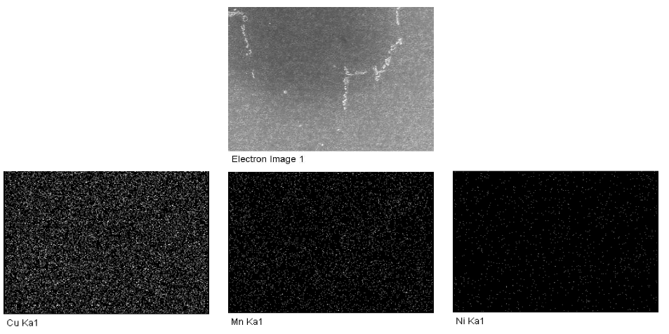 31T로 냉간압연된 망간동 Image analysis