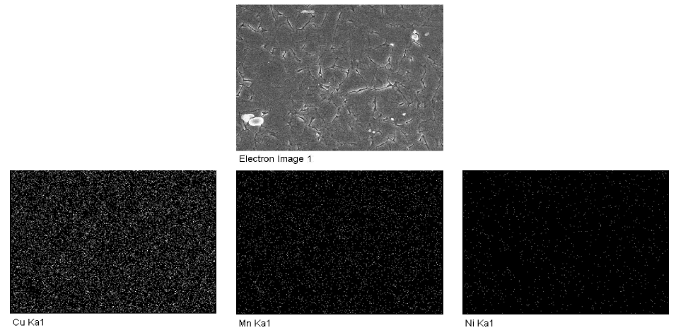 압하율 50%로 4회 압연한 망간동 Image analysis