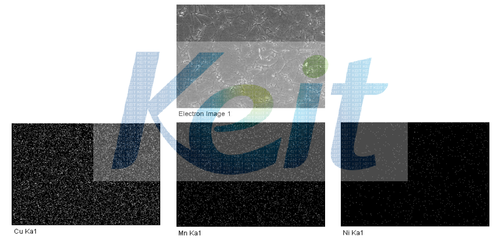 압하율 50%로 1회 압연한 망간동 Image analysis