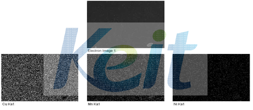 650℃에서 5시간 Annealing한 망간동 Image analysis