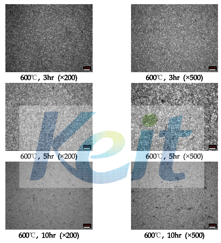 600℃에서 Annealing 시간변화에 따른 조직분석