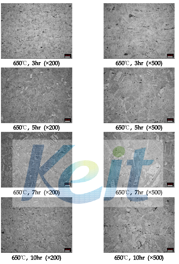 650℃에서 Annealing 시간변화에 따른 조직분석