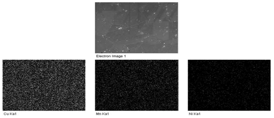 열간압연 50% 2회 → Annealing(650℃, 5H) → 50% 2회 → Annealing(650℃, 5H)한 망간동 Image analysis