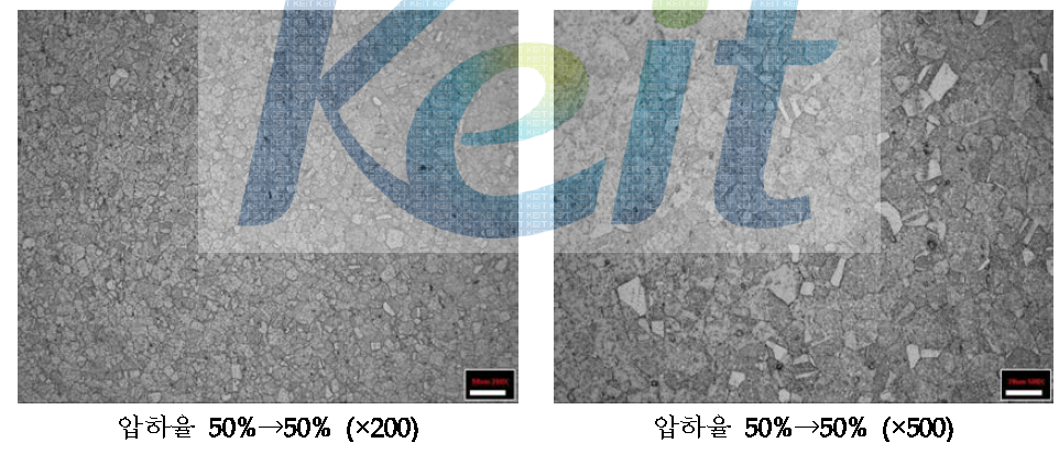 압하율 50%로 2회 압연한 망간동 조직분석