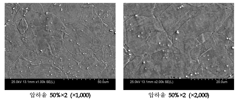 압하율 50%로 2회 압연한 망간동 SEM 분석
