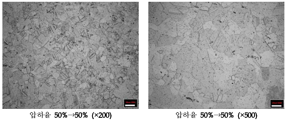 압하율 50%로 2회 압연 후 Annealing한 망간동 조직분석