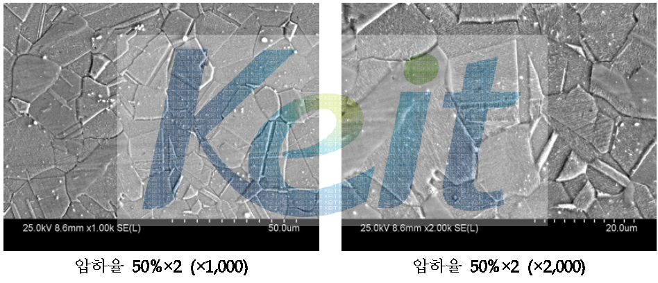 압하율 50%로 2회 압연 후 Annealing한 망간동 SEM 분석