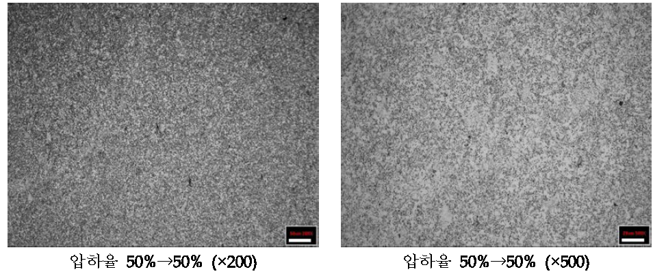 압하율 50%로 4회 압연한 망간동 조직분석