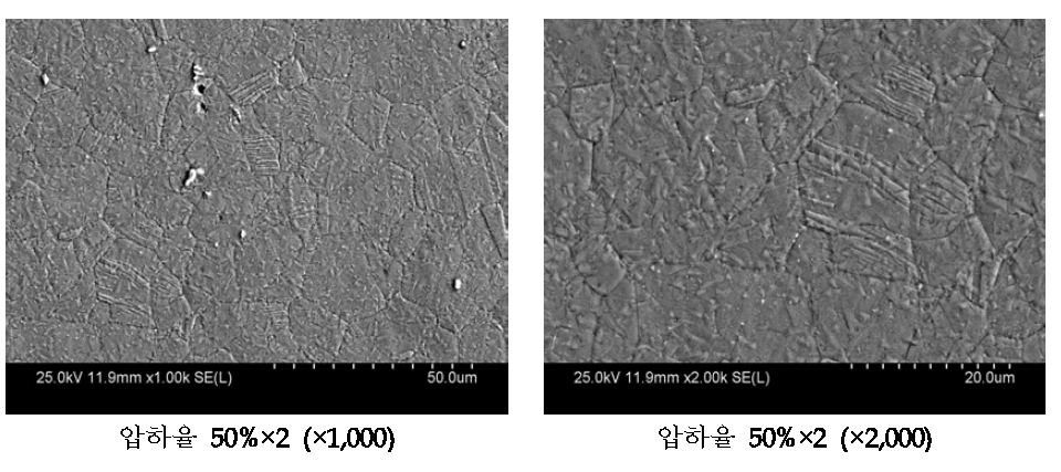 압하율 50%로 4회 압연한 망간동 SEM 분석