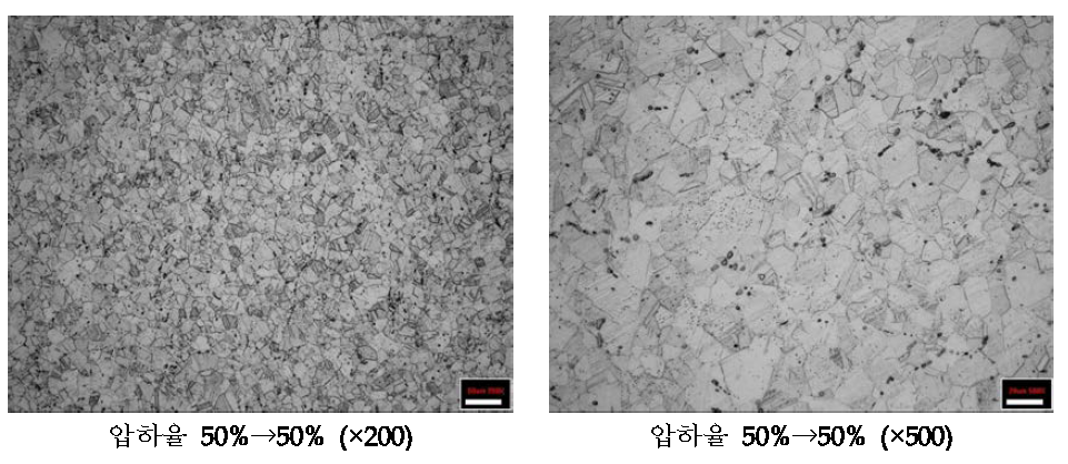 압하율 50%로 4회 압연 후 Annealing한 망간동 조직분석