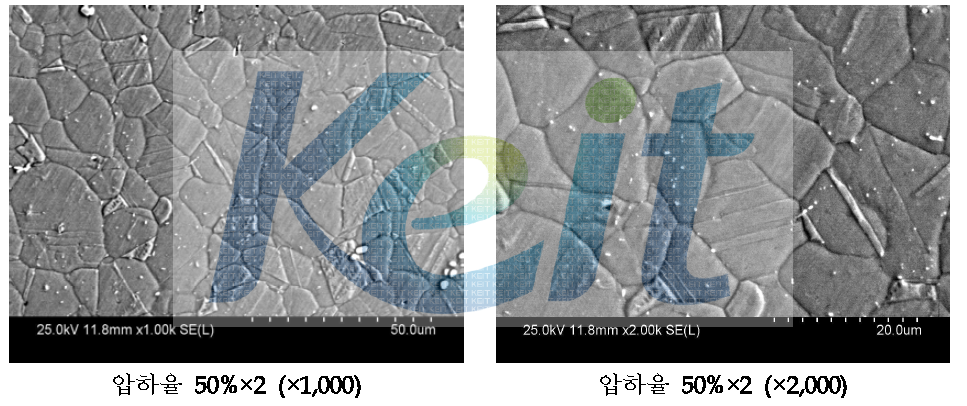 압하율 50%로 4회 압연 후 Annealing한 망간동 SEM 분석