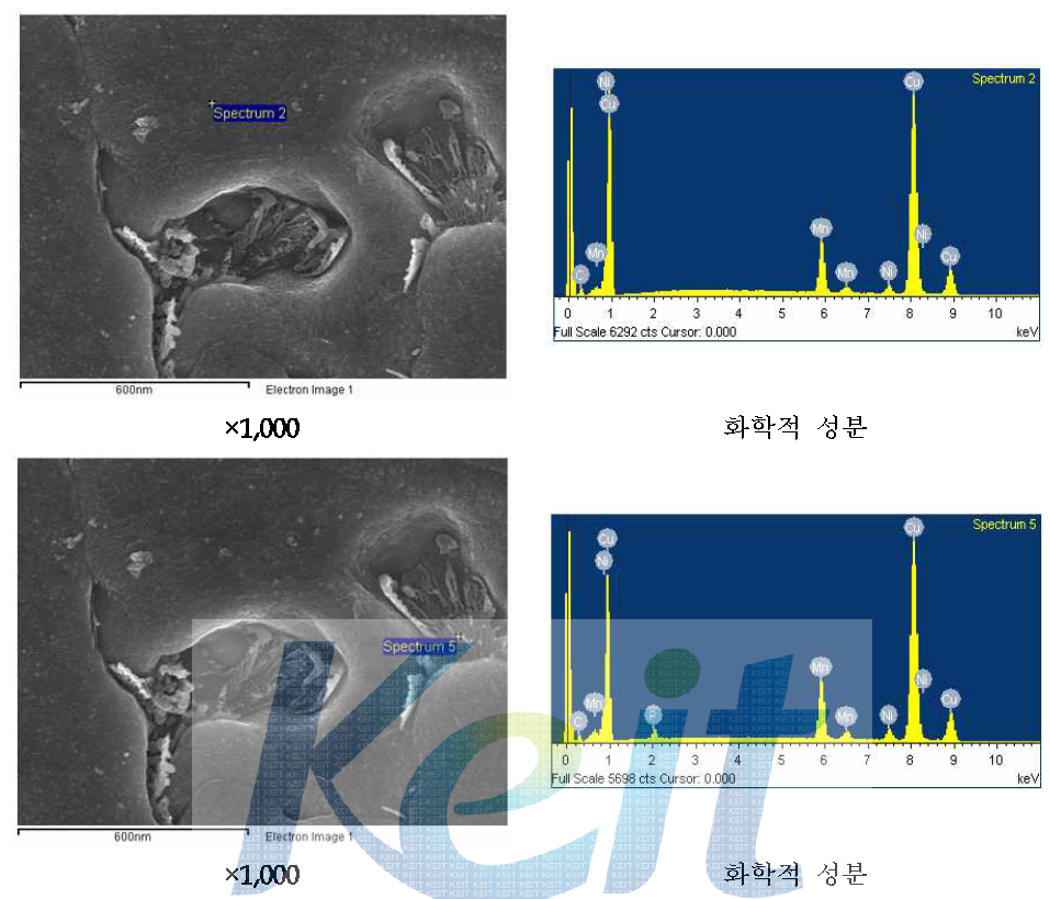 망간동 열영향부 Image analysis (Point)