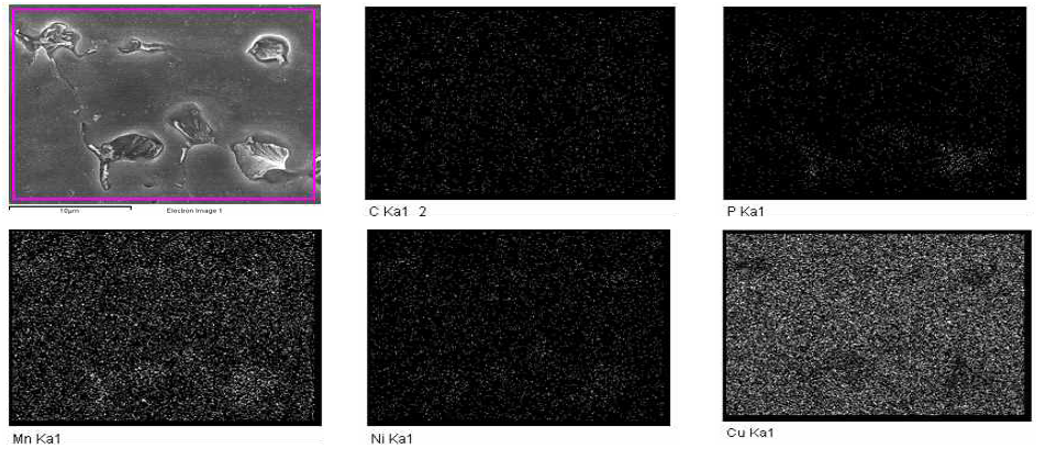 망간동 열영향부 Image analysis (Mapping)