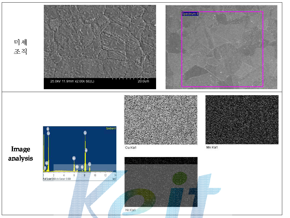 최종 시제품의 미세조직 및 Image analysis
