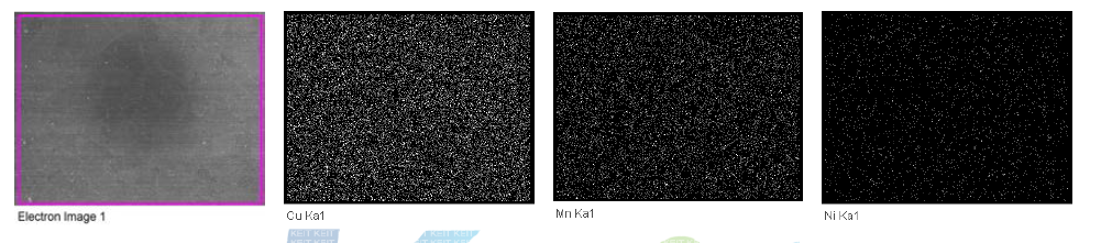 수입 망간동 Image analysis