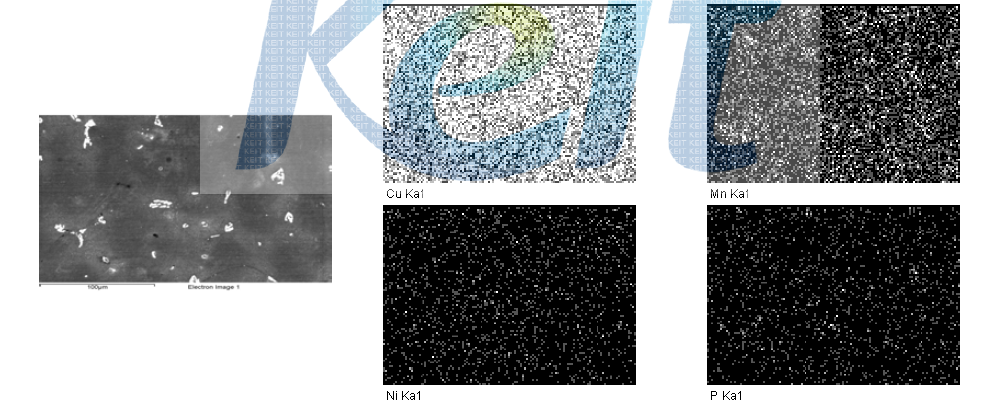 20T 초기 인출부 Image analysis