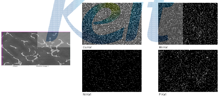 15T 초기 인출부 Image analysis