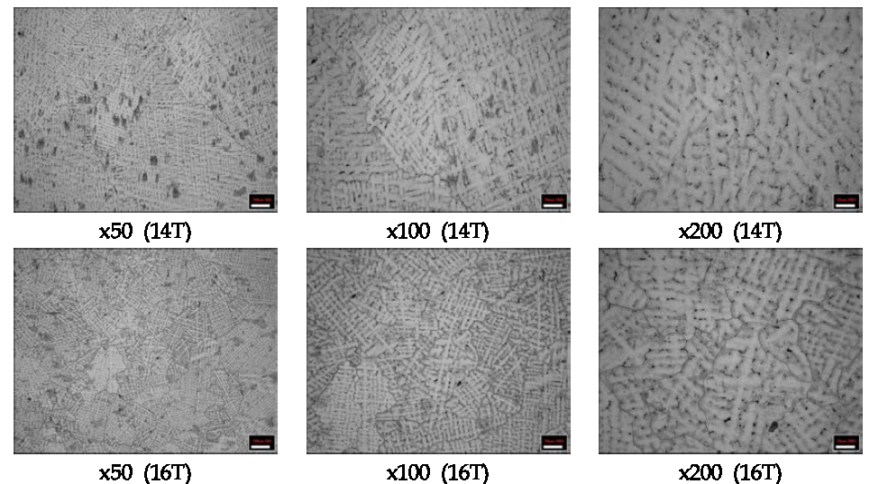 14T, 16T로 냉간압연된 망간동 조직 분석