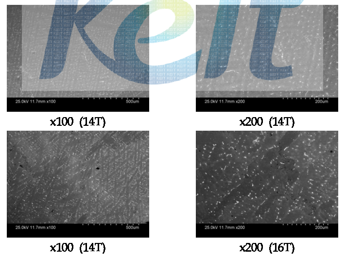 14T, 16T로 냉간압연된 망간동 SEM 분석