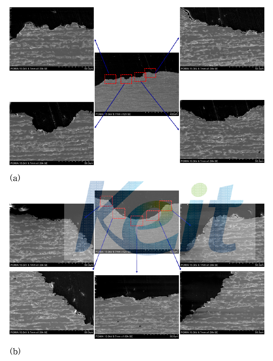 손상부 단면 관찰 - SEM images