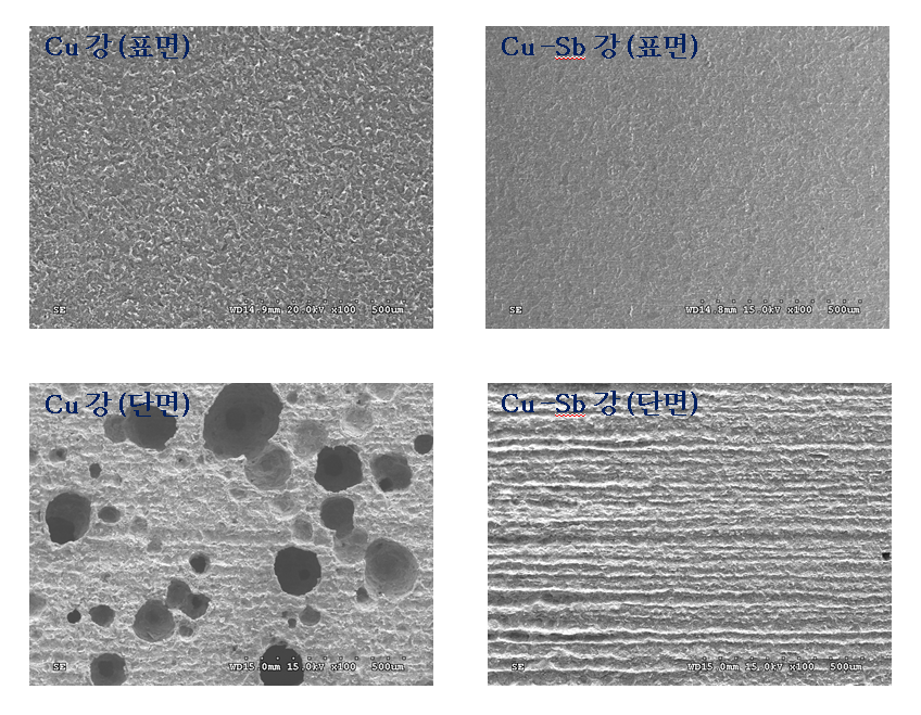 Sb 첨가 유무에 따른 압연강의 표면 및 단면의 6시간 침지 후 SEM 분석