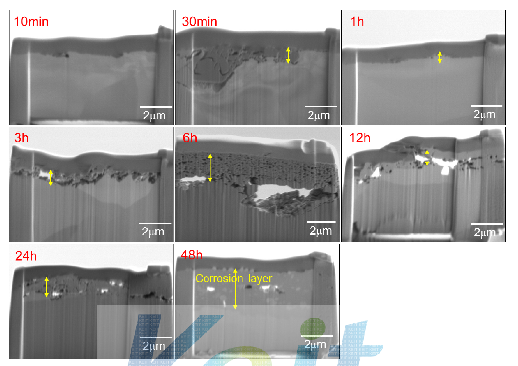시험시간의 변화에 따른 ANCOR-HS 시편의 FIB/SEM에서 관찰한 단면 모습
