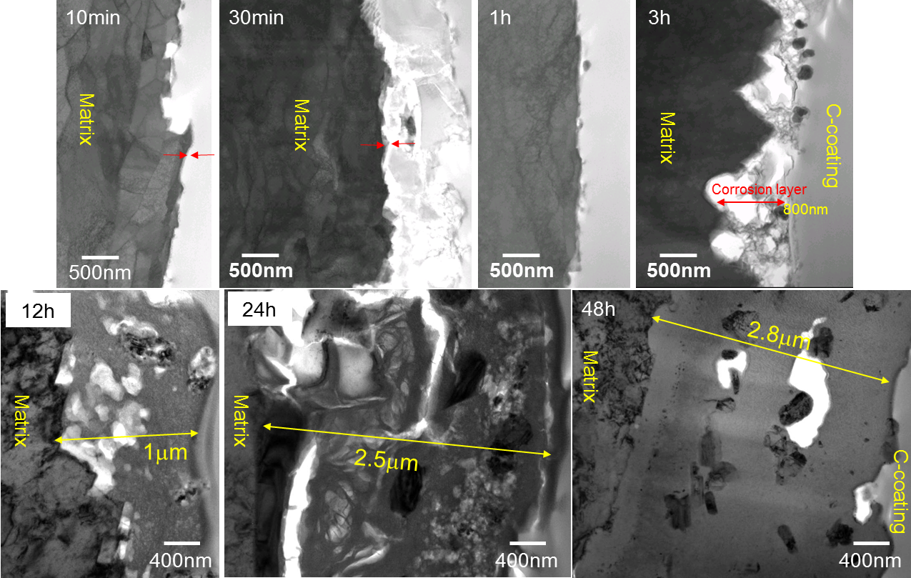 실험시간의 변화에 따른 ANCOR-HS 시편의 STEM에서 관찰한 단면 모습