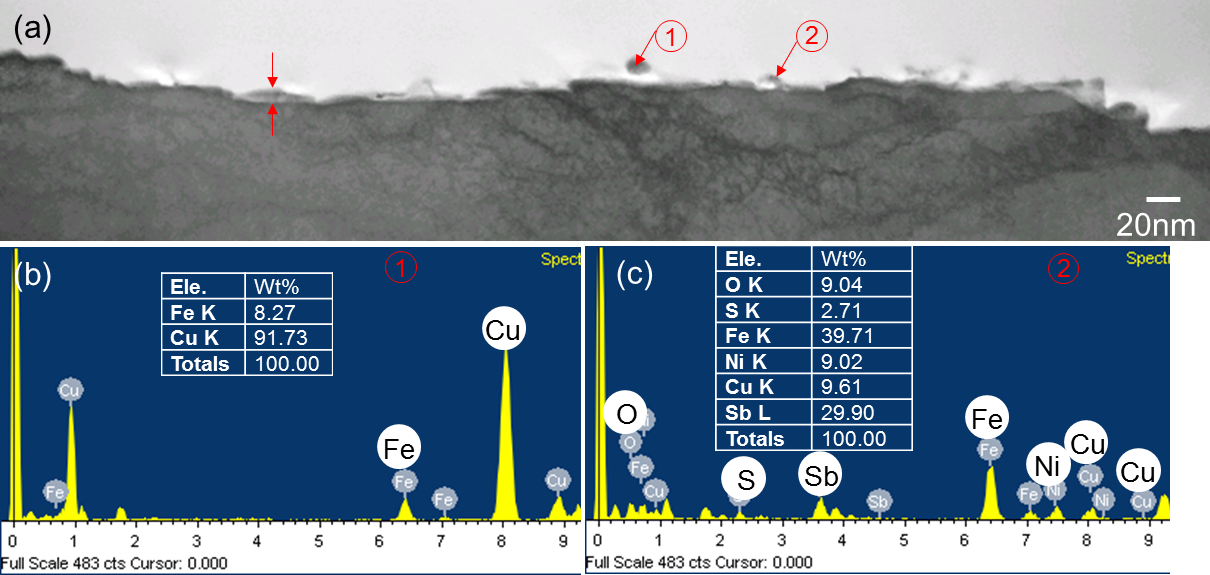 1시간 침지시험 후 ANCOR-HS시편의 STEM에서 관찰한 대표적인 단면 형상 (a) 및 (b~c) EDS spectra