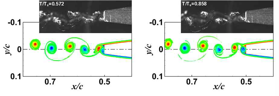 Vorticity shedding trajectories near the T.E. compared with flow visualization results