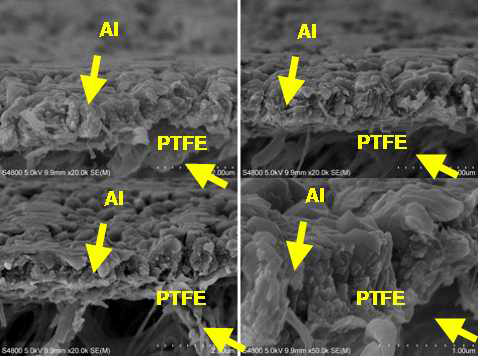 PTFE membrane 위에 증착된 Al 박막의 측면의 FE-SEM 이미지
