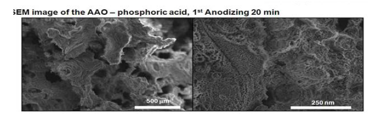 Phosphoric acid를 전해질로 하여 1st andizing 20 min 시행한 경우의 SEM image