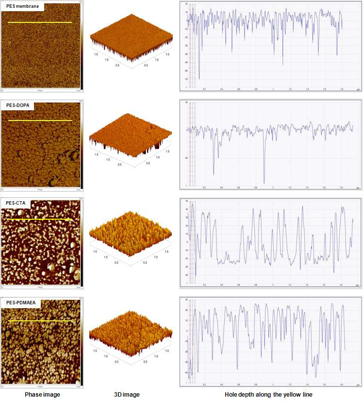표면 개질된 PES 멤브레인의 AFM 사진