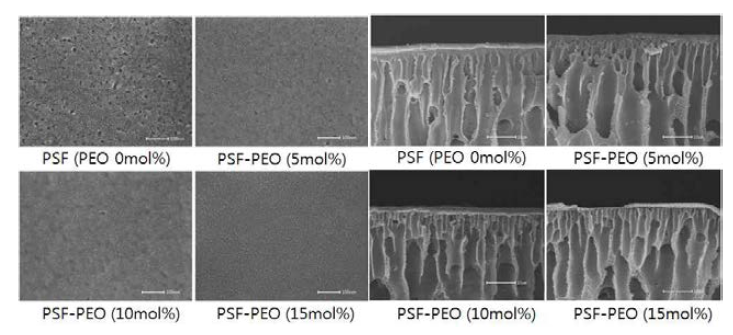 Dry/wet 상전이법으로 형성된 PSF-PEO 한외여과막의 표면 및 단면 비교
